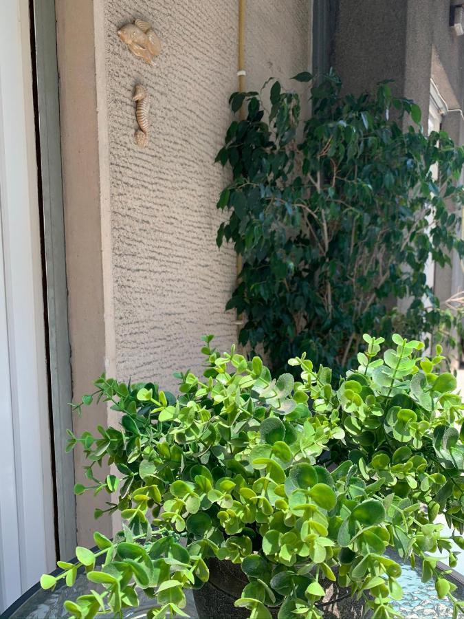 Renovated Cozy Apartment Near To Acropolis Atena Exterior foto
